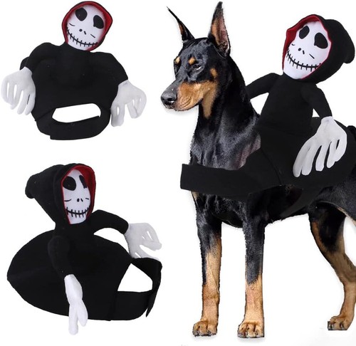 Halloween costume devil - halloween,